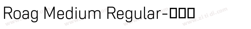 Roag Medium Regular字体转换